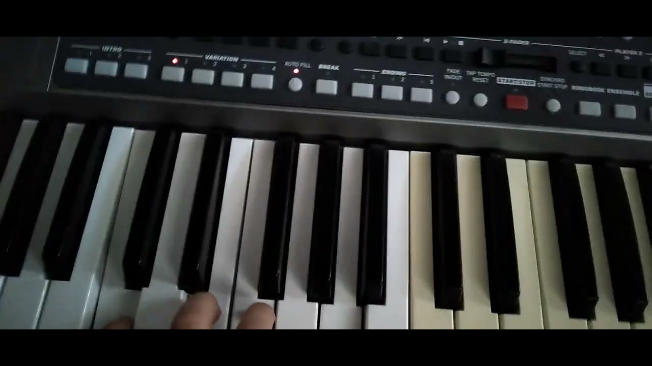 KORG PA 900 SET 1X 300 4X 50 10000