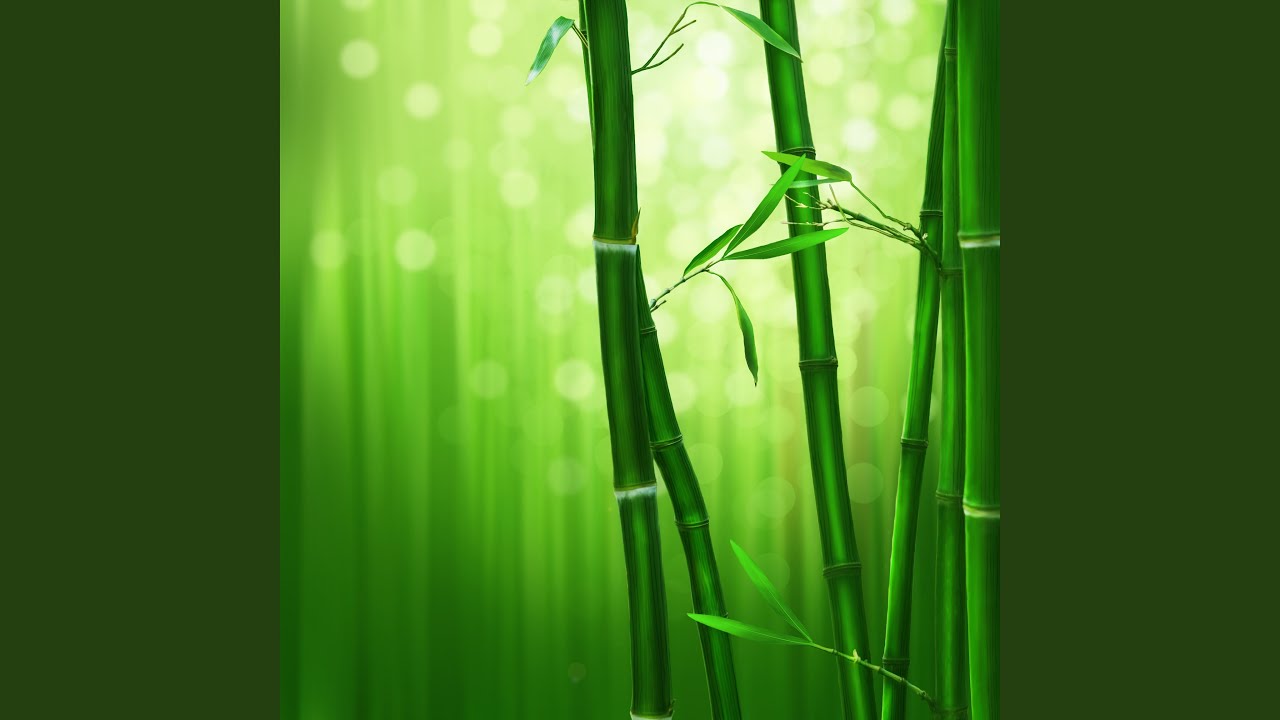 The Bamboo and the Wind