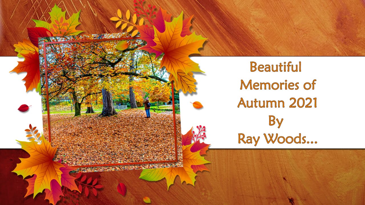 Beautiful Memories of Autumn 2021