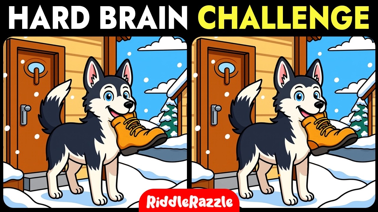 Brain Focus Training | Can You Find All 3 Differences?
