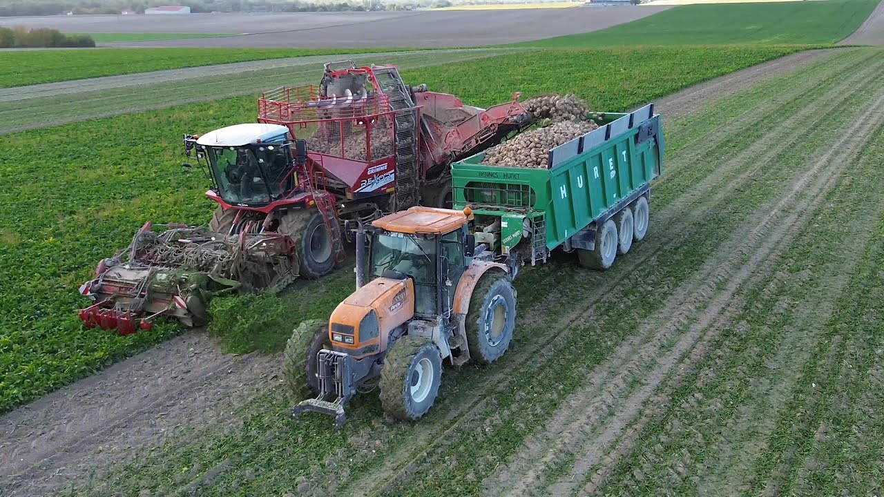 🫜La Grimme Rexor 6200 au betteraves dans l'aube