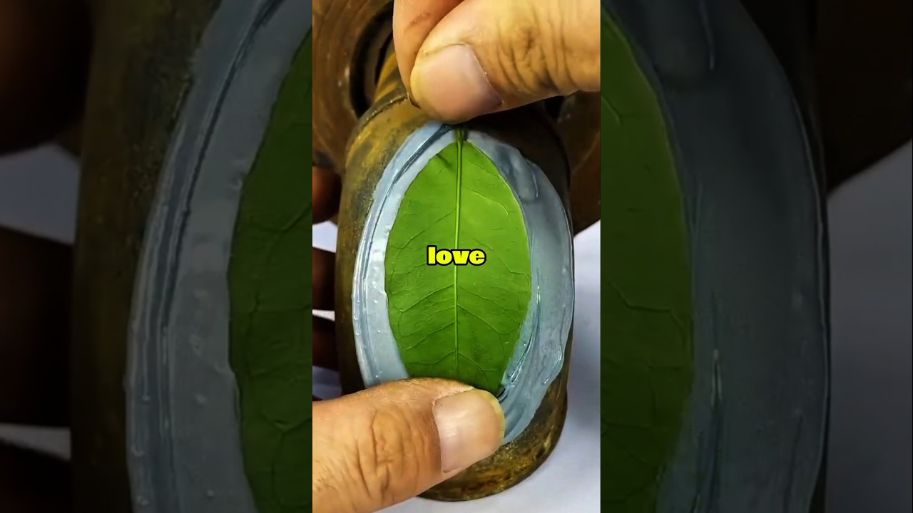 #yosho