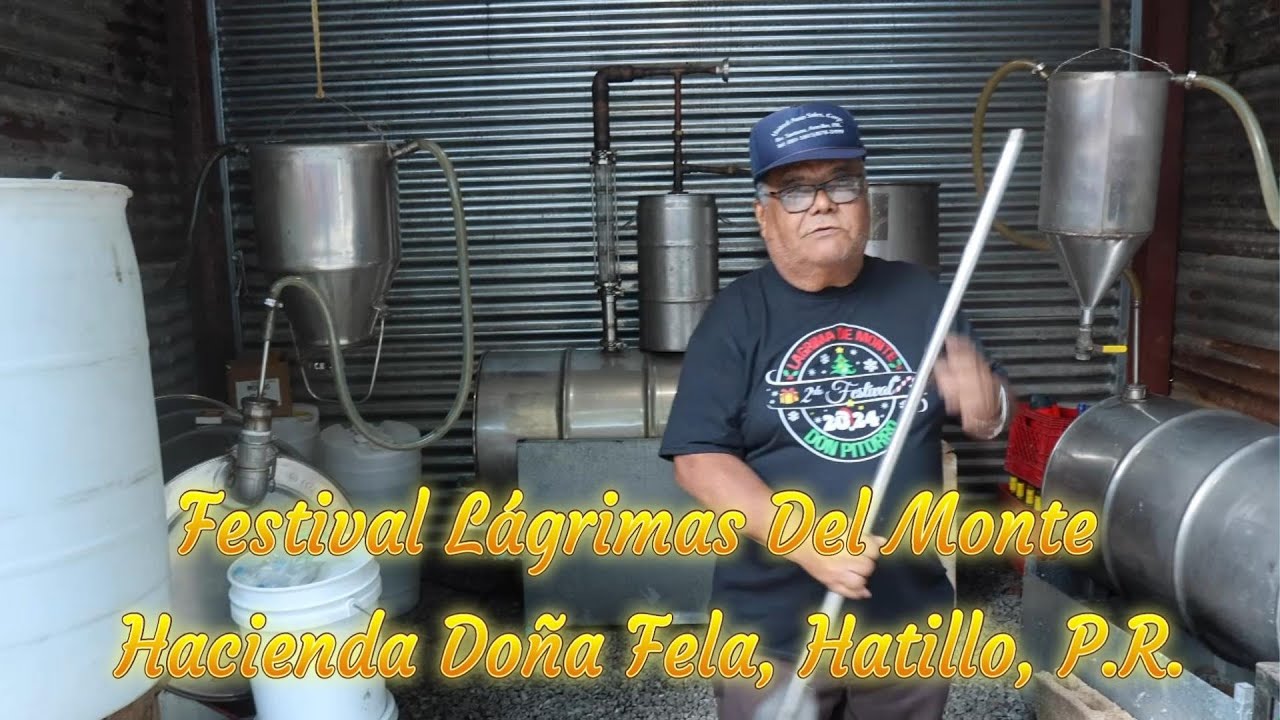 Festival Lágrimas De Monte, Hacienda Doña Fela, Hatillo, P R  Segunda Parte