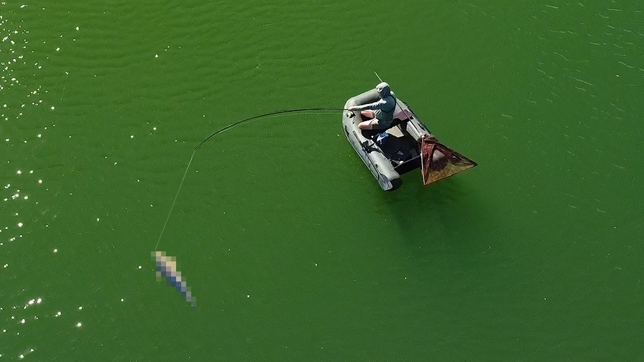 He PROMISED a 20kg Carp... I Wasn’t Ready for THIS