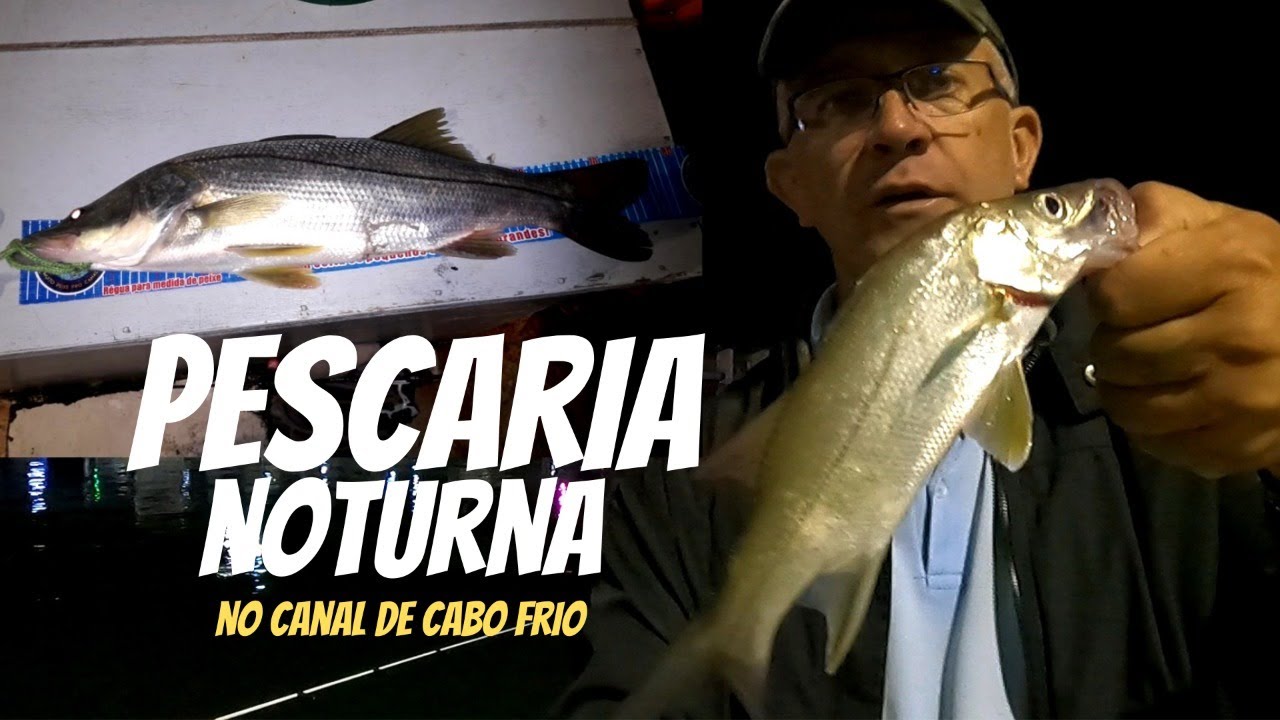PESCARIA NOTURNA NO CANAL DE CABO FRIO É MUITO ROBALO NO JIG HEAD E NA ISCA VIVA