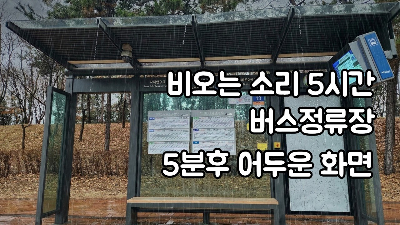 비오는 소리 5시간 연속 (버스정류장)ㅣ 빗소리ㅣ수면유도ㅣ백색소음ㅣ불면증해소ㅣ자장가ㅣASMRㅣ집중력향상ㅣRain sounds for sleeping l White noise