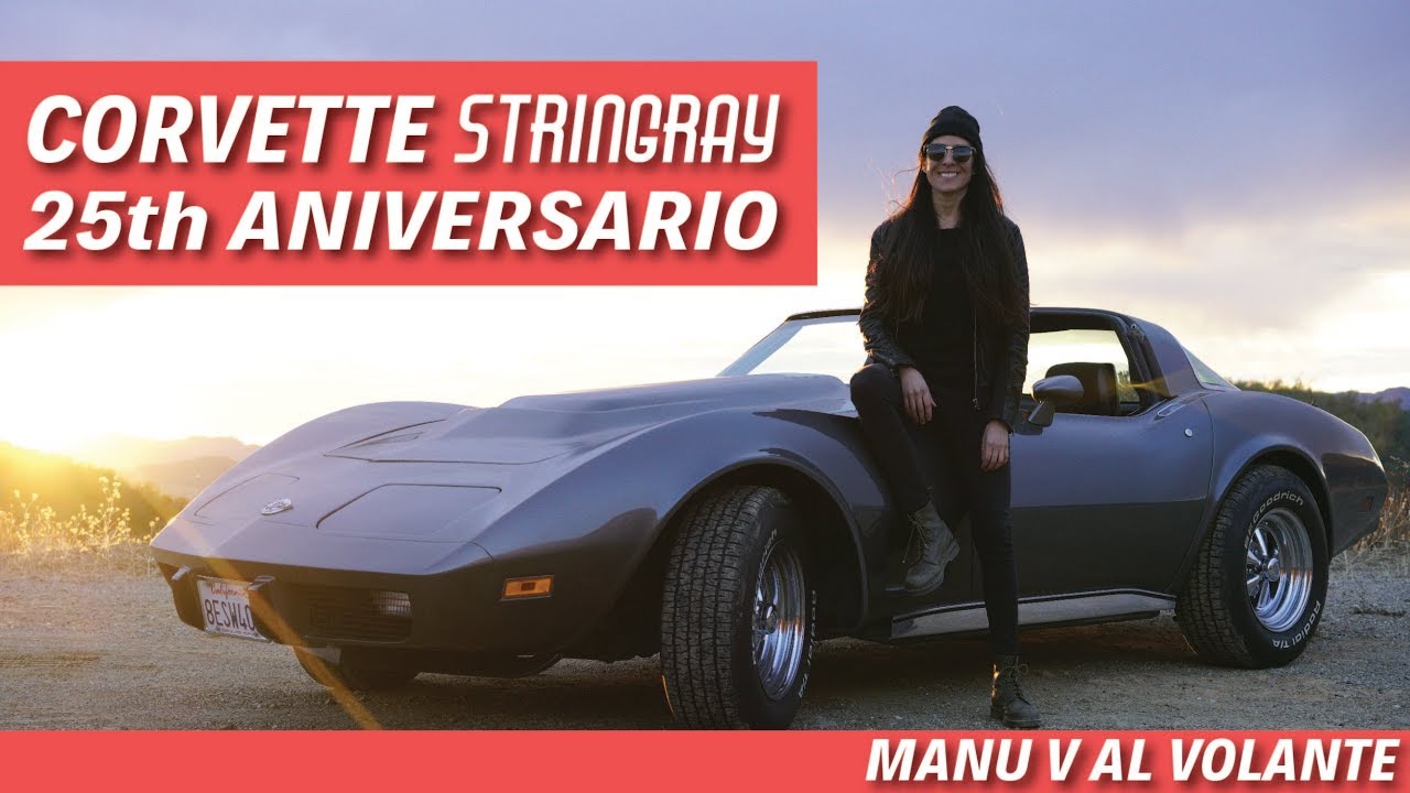 Chevrolet Corvette Stingray 25th Anniversary 1978 - Manu V Al Volante