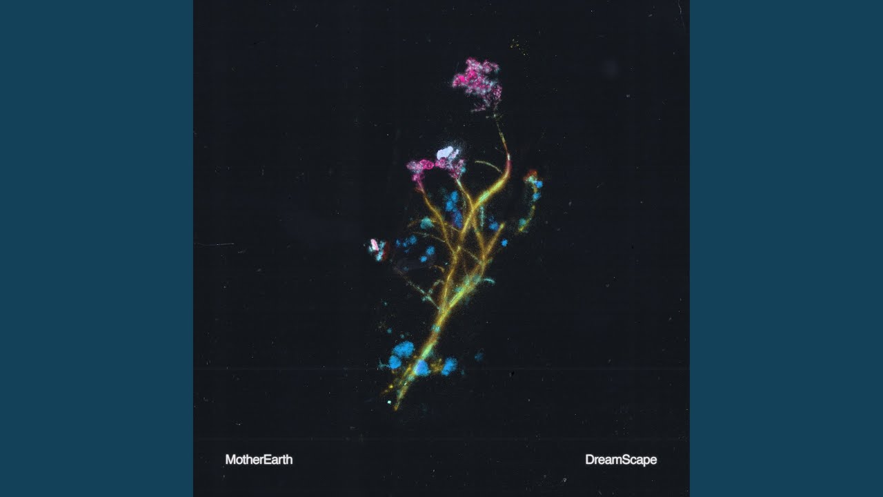 Dreamscape