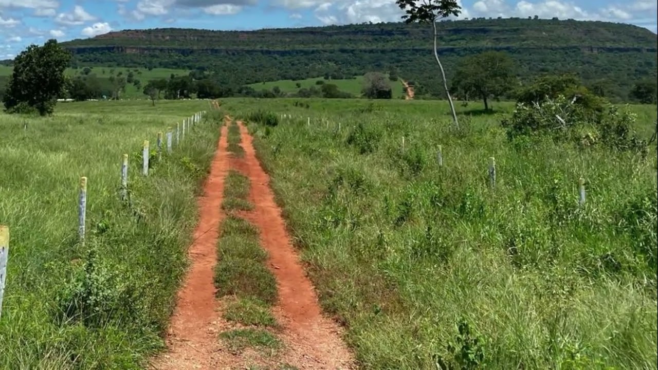 Fazenda de 387 ha em Pontal do Araguaia/MT | 310 ha Formados e Dupla Aptidão!