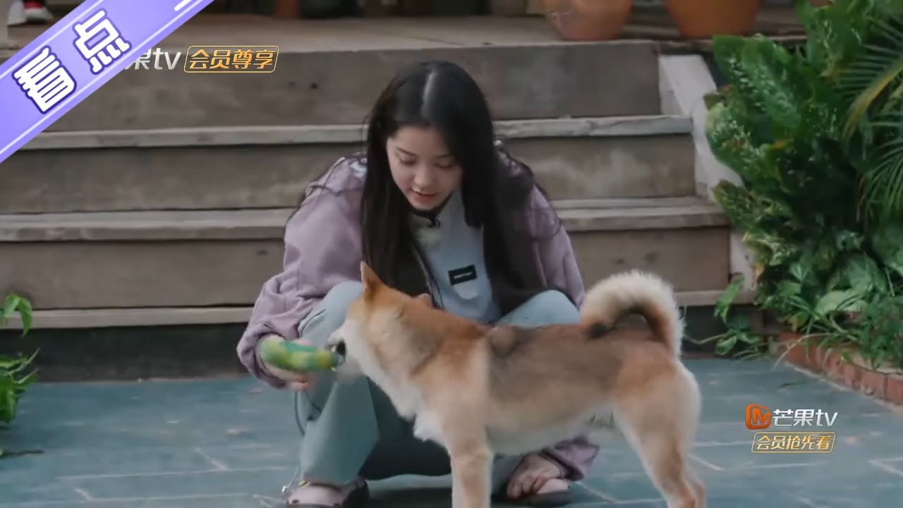 未播花絮：许光汉化身劈柴机器，小H遭欧阳娜娜“整蛊”？《向往的生活4》 第11期 Back to field S4【芒果TV生活风尚频道】