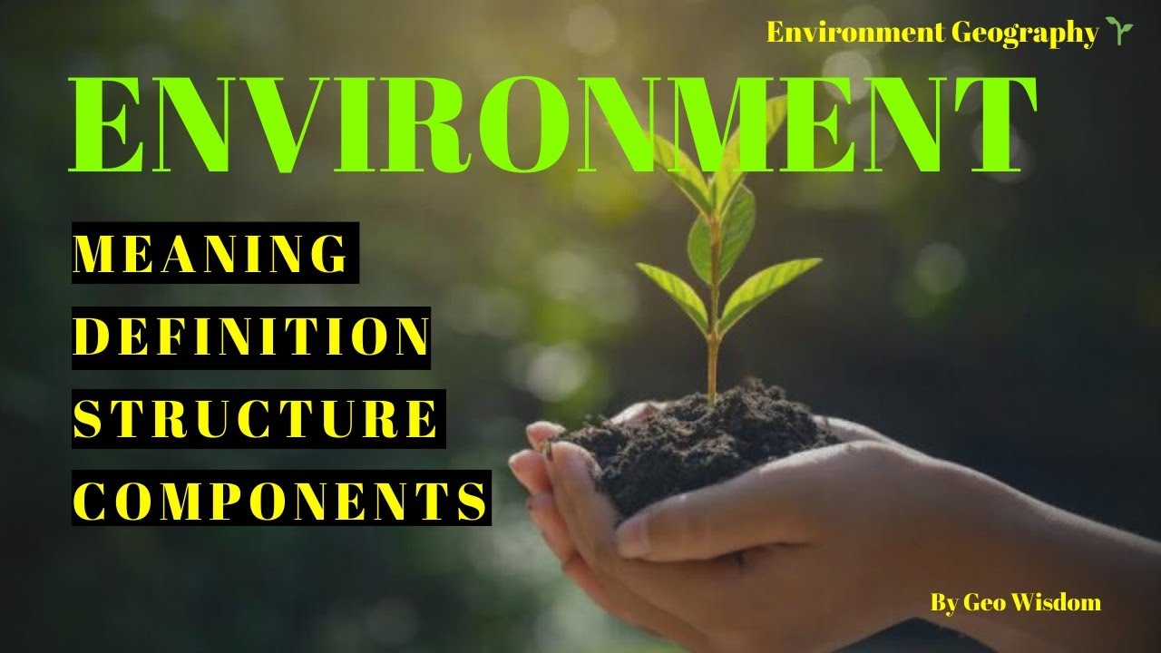 What is Environment || It's Meaning & Definition || Structure & Components of Environment