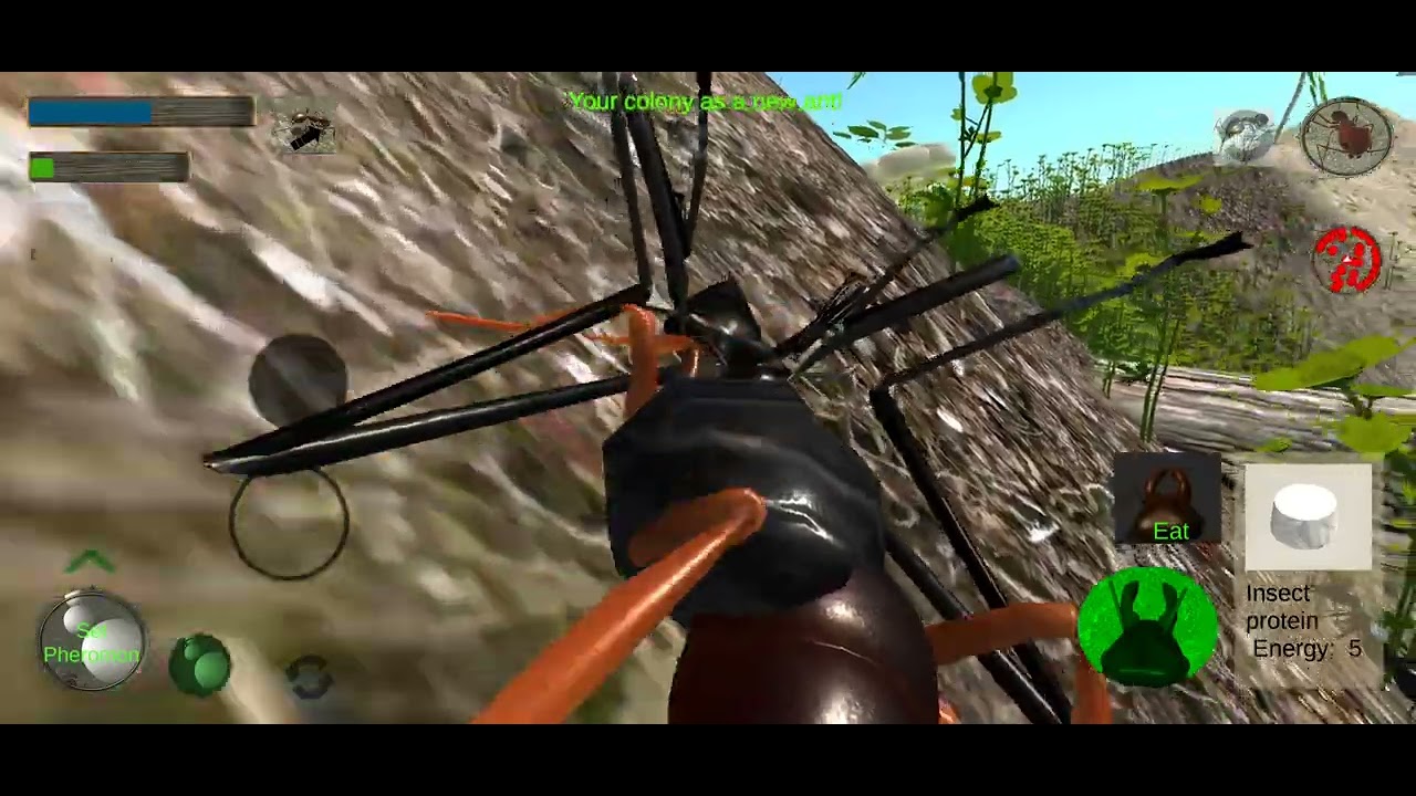 (I did a lil off cam work) ant simulator part 2