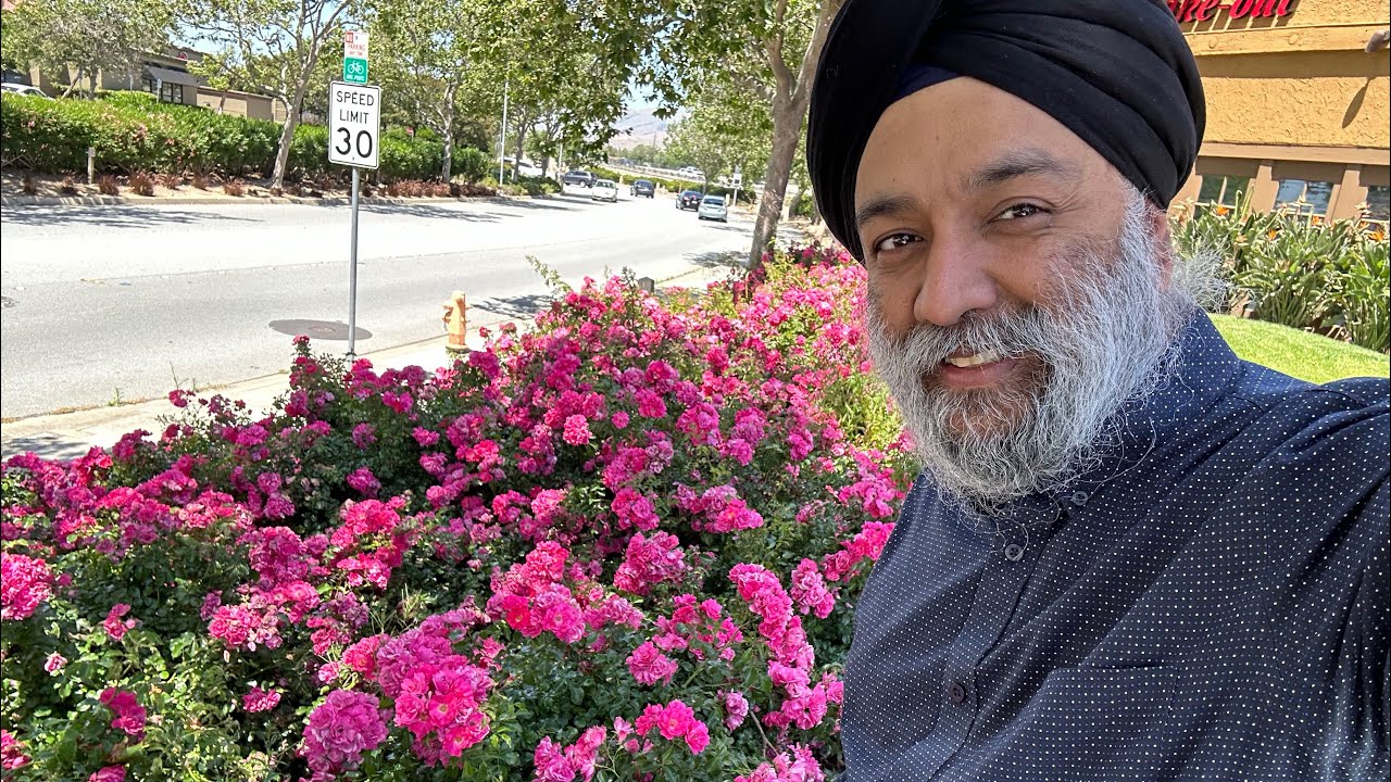 Remembering Guru Arjan through his shabads