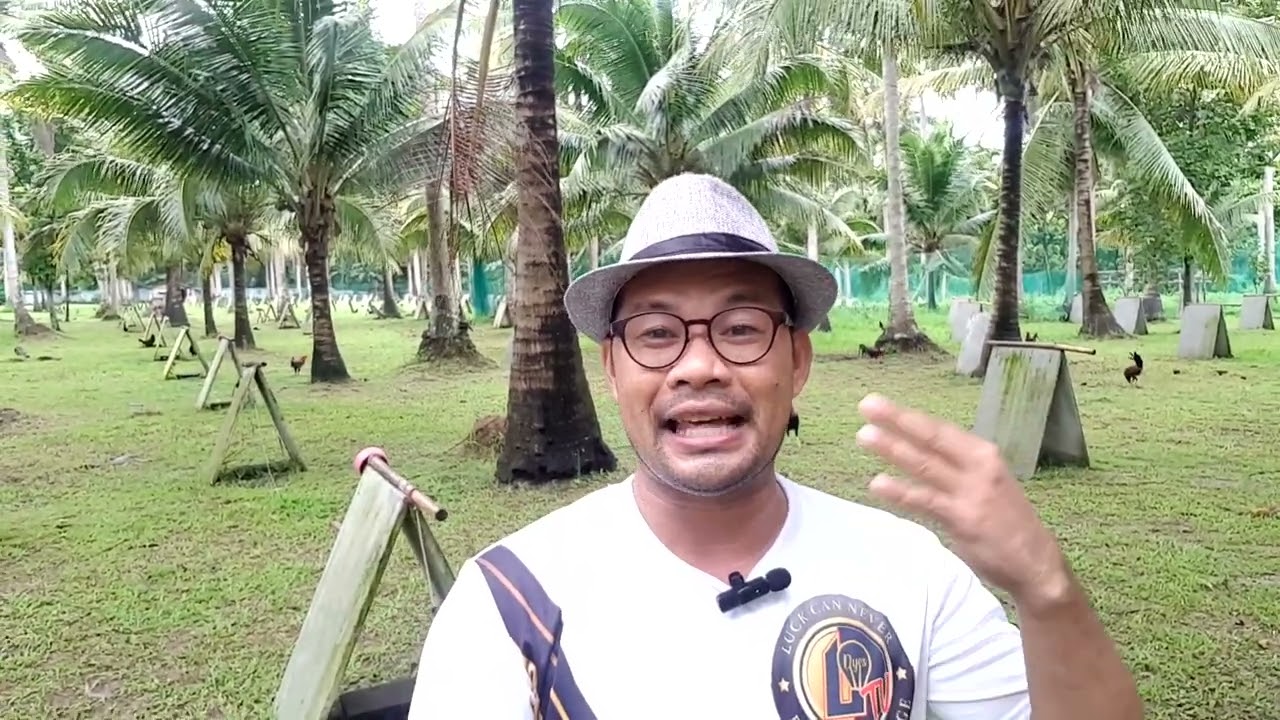 Anong Vitamins nga ba ang nakakapagbigay ng malalakas na palo ng Manok