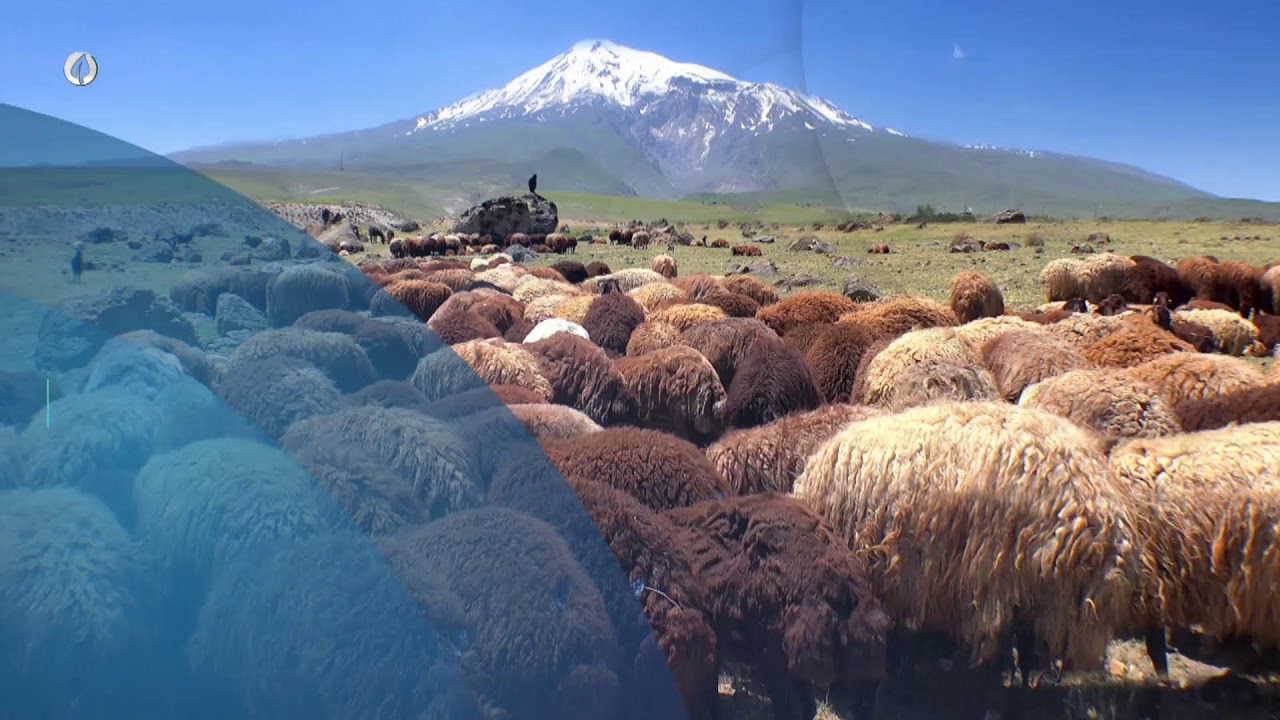 #CANLI AGRO TV İle GÜNAYDIN