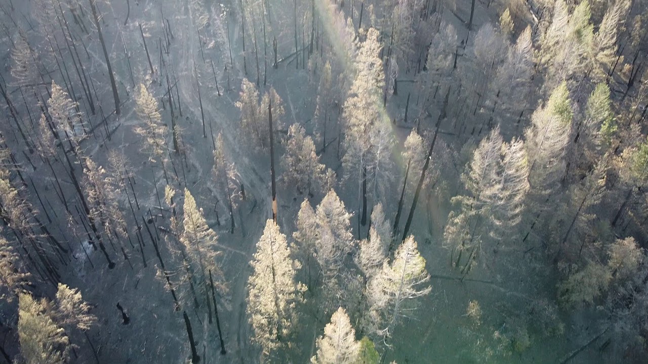 Origin of 2020 California Creek Fire (Drone + Hike inspection)