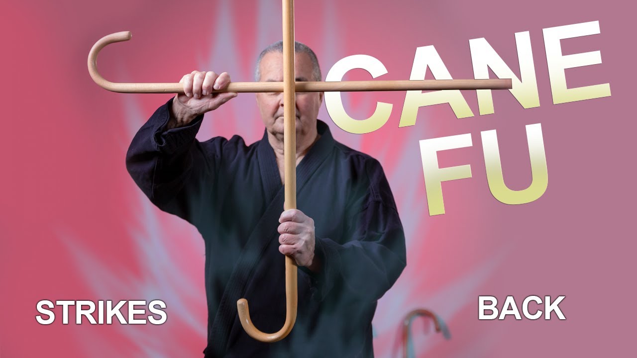 Cane Fu: The Legend strikes back
