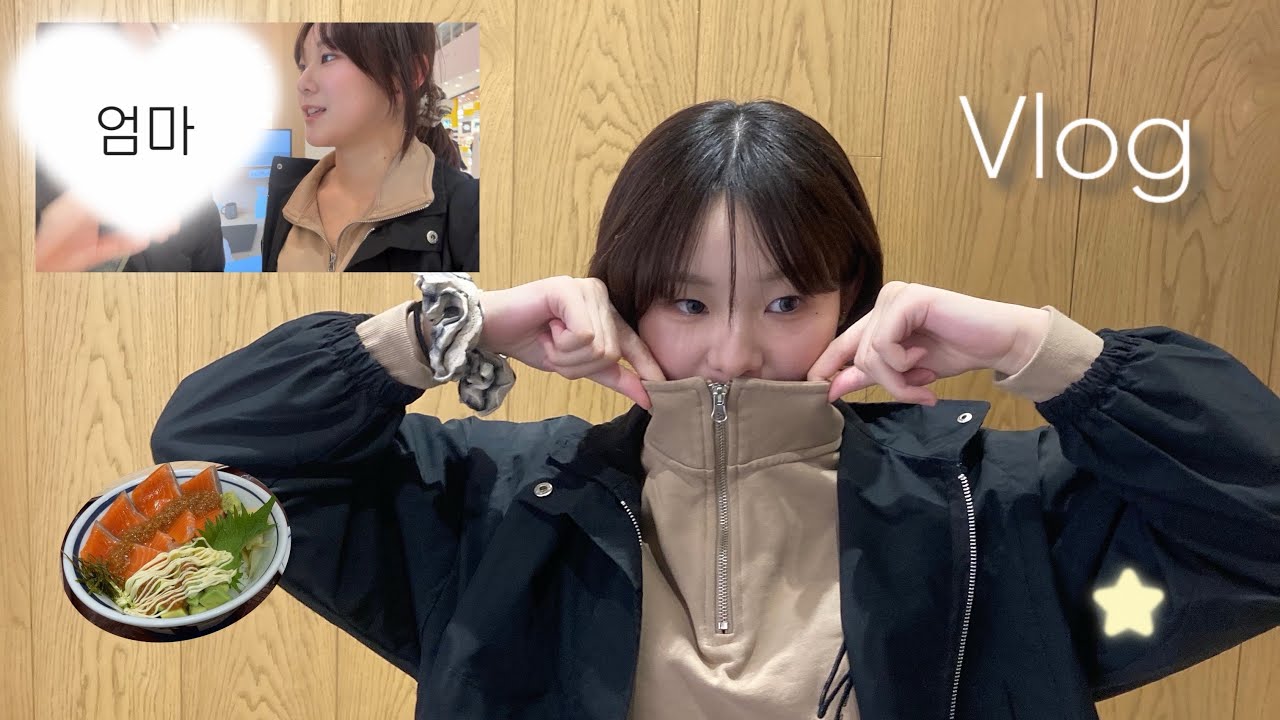 【Vlog】 소중한 가족시간 海鮮丼を食べた日🐟