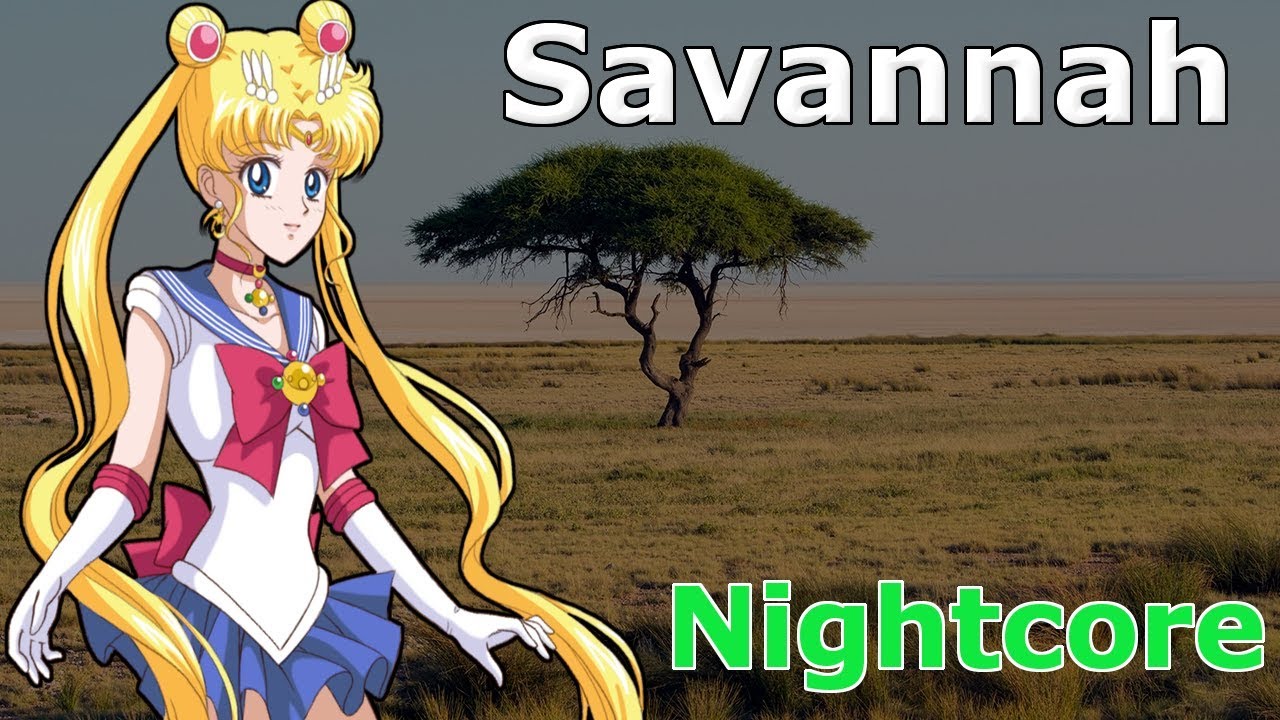 FAULHABER - Savannah nightcore (remix) + lyrics