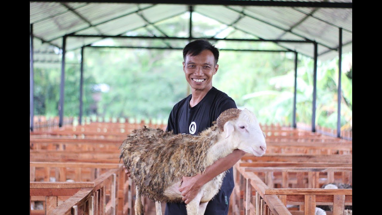 BRILiaN Farm Bantul, Yogyakarta