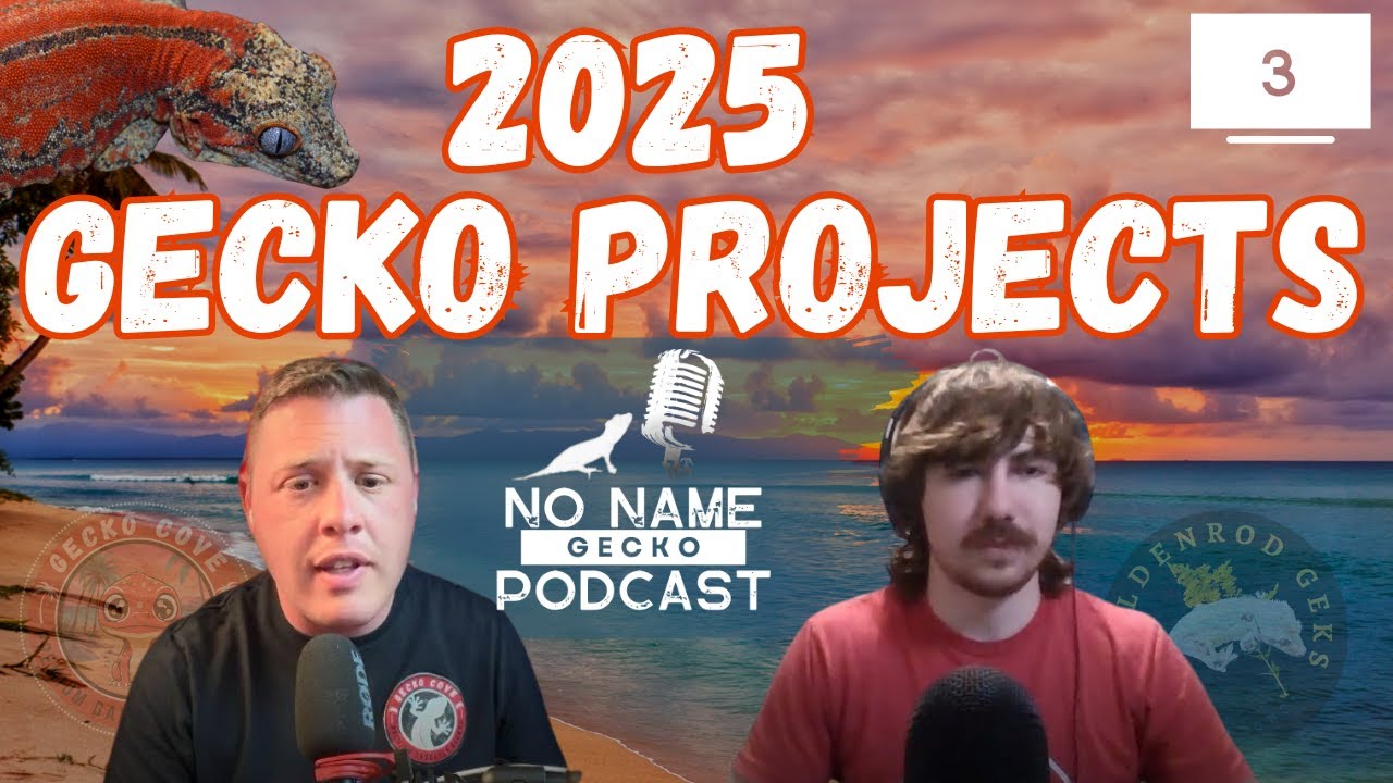 2025 Gecko Projects - No Name Gecko Podcast - 3
