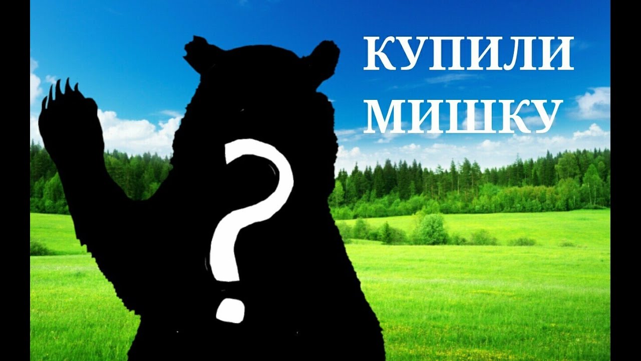 Мы купили мишку!!!!!!!