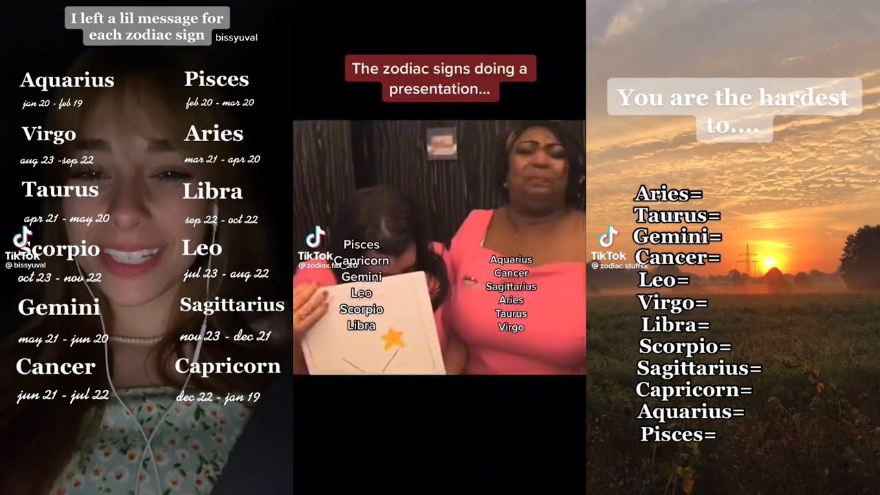 Relatable Zodiac Signs TikTok Compilation