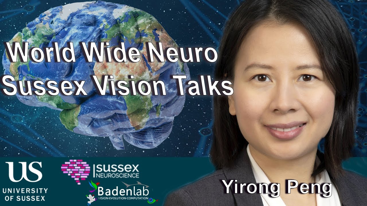 World Wide Neuro | Sussex Vision Series - 04/03/2024 - Prof. Yirong Peng