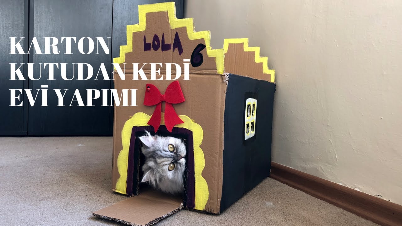 Karton kutudan kolayca kedi evi yapımı, kendin yap, DIY