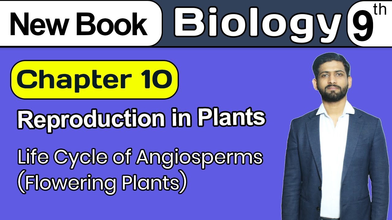 9th Class Biology Chapter 10 | Life Cycle of Angiosperms (Flowering Plants) | 9th New Book 2025