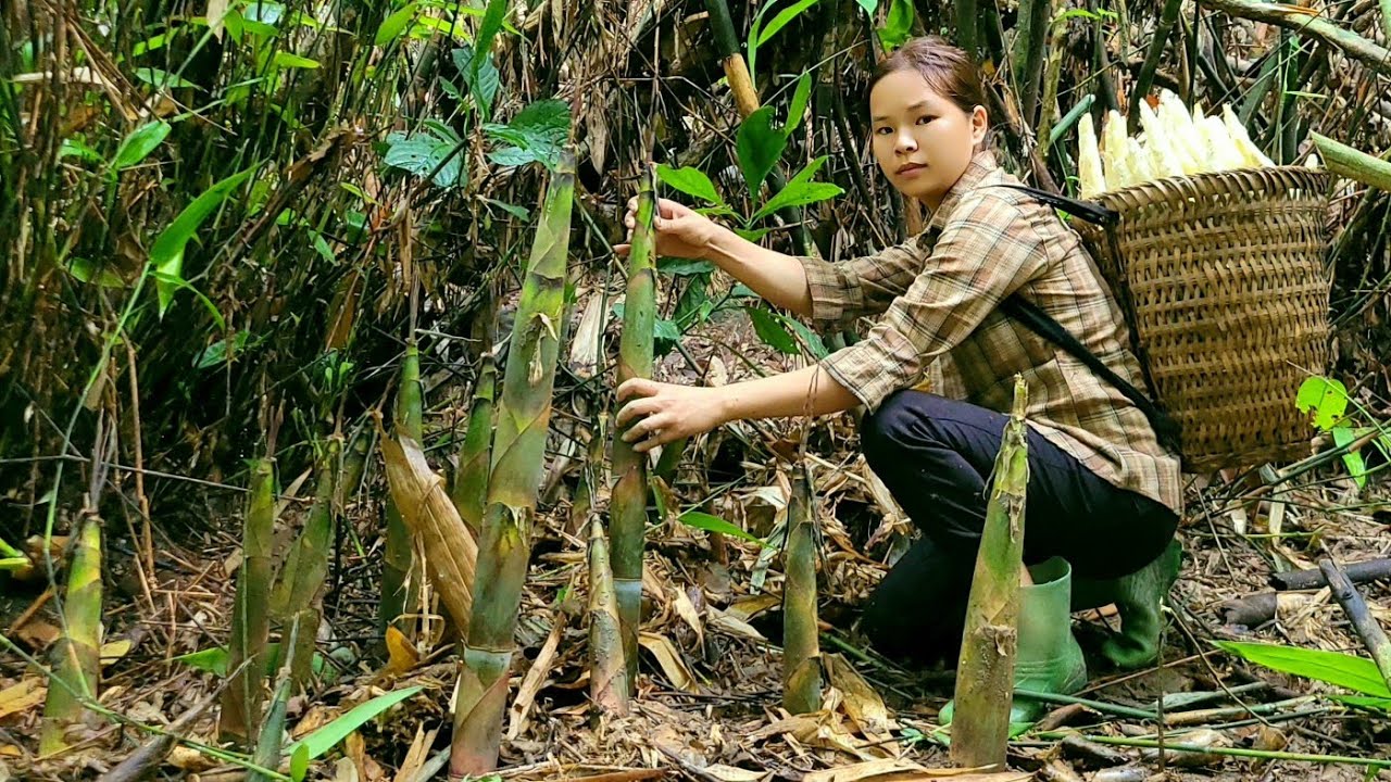 Homeless girl - build a vegetable garden - harvest bamboo shoots to sell and grow vegetables