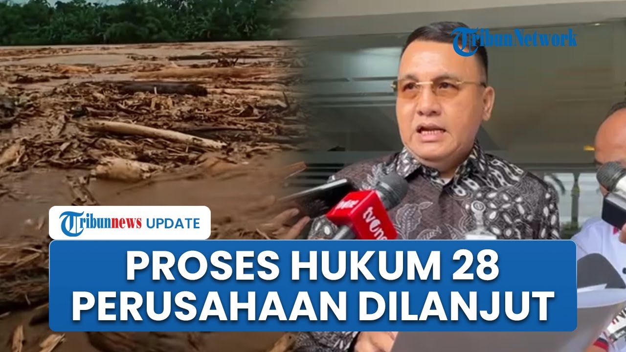 Satgas PKH Mulai Inventarisasi Dugaan Pelanggaran Hukum 28 Perusahaan Perusak Hutan di Sumatera