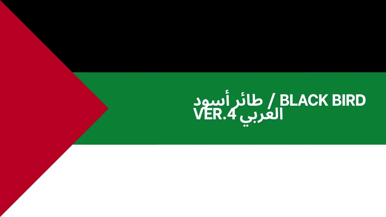 طائر أسود  Black bird ver 4 العربي