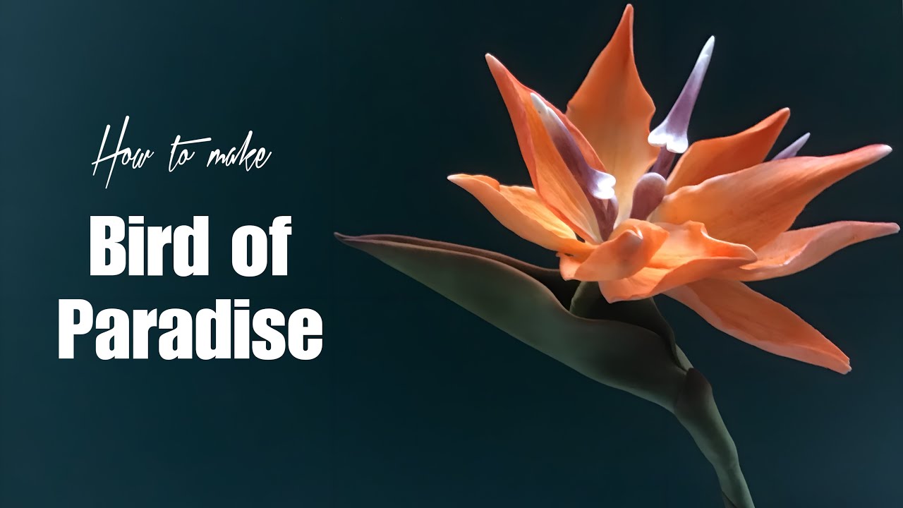 Bird of Paradise Sugar Flower: Easy Tutorial