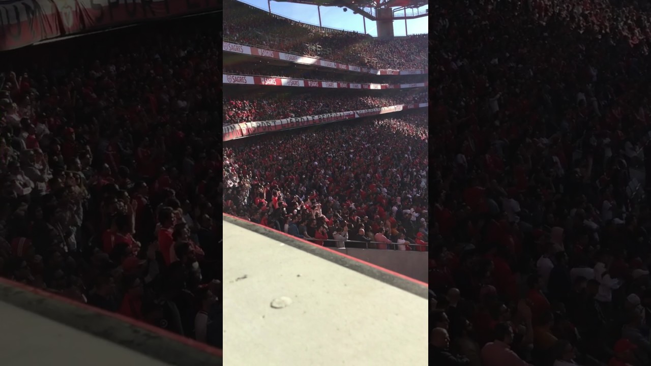 Benfica Estoril NoN NAME lalalalalala força benfica