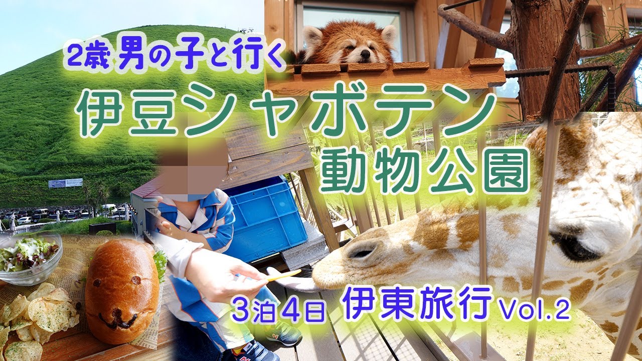 【2歳子連れ】伊豆シャボテン動物公園(マー君と行く3泊4日伊東温泉旅行vol.2 )