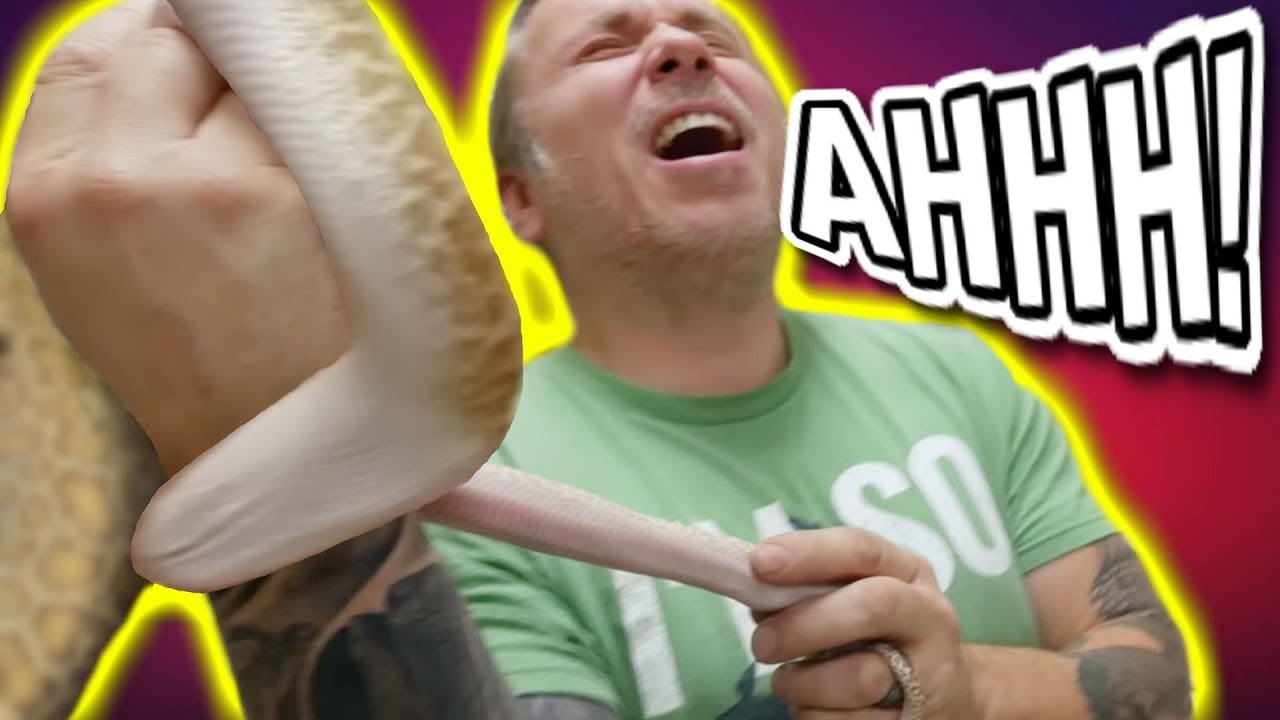 MANY SNAKE BITES WHILE UNBOXING AWESOME REPTILES!!! | BRIAN BARCZYK