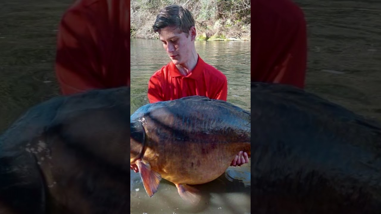 Pêche carpe le_t83340