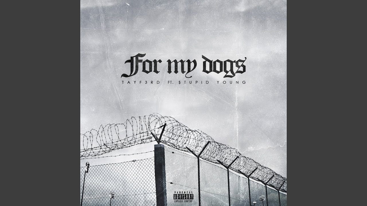 For My Dogs