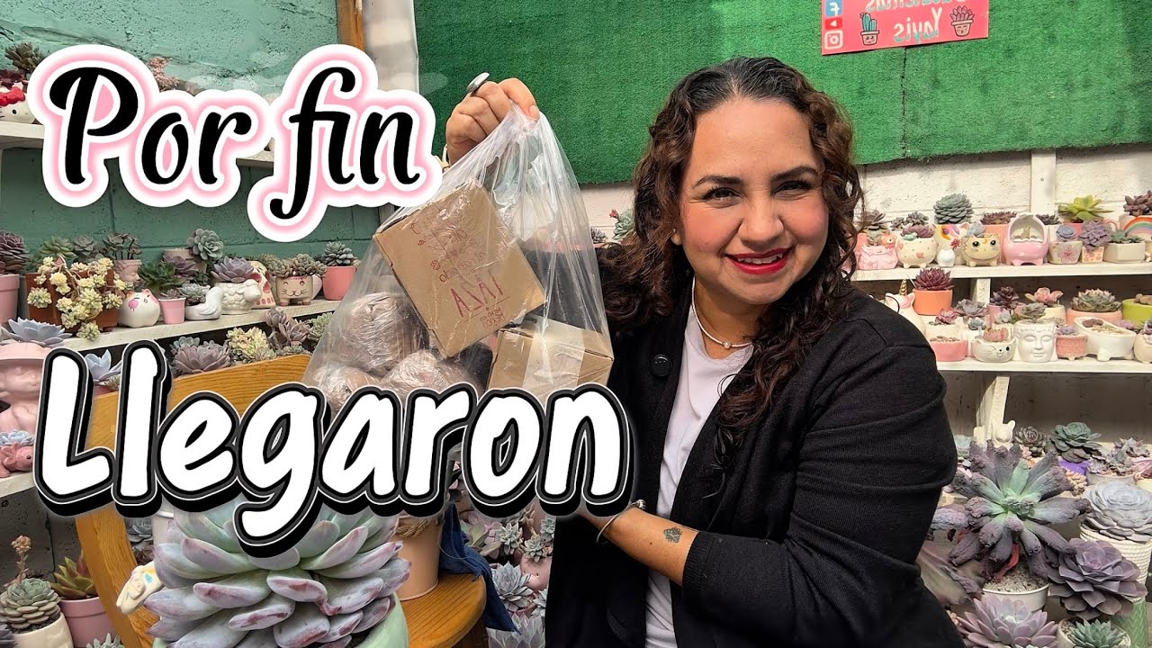 Compras de macetas más realitos 