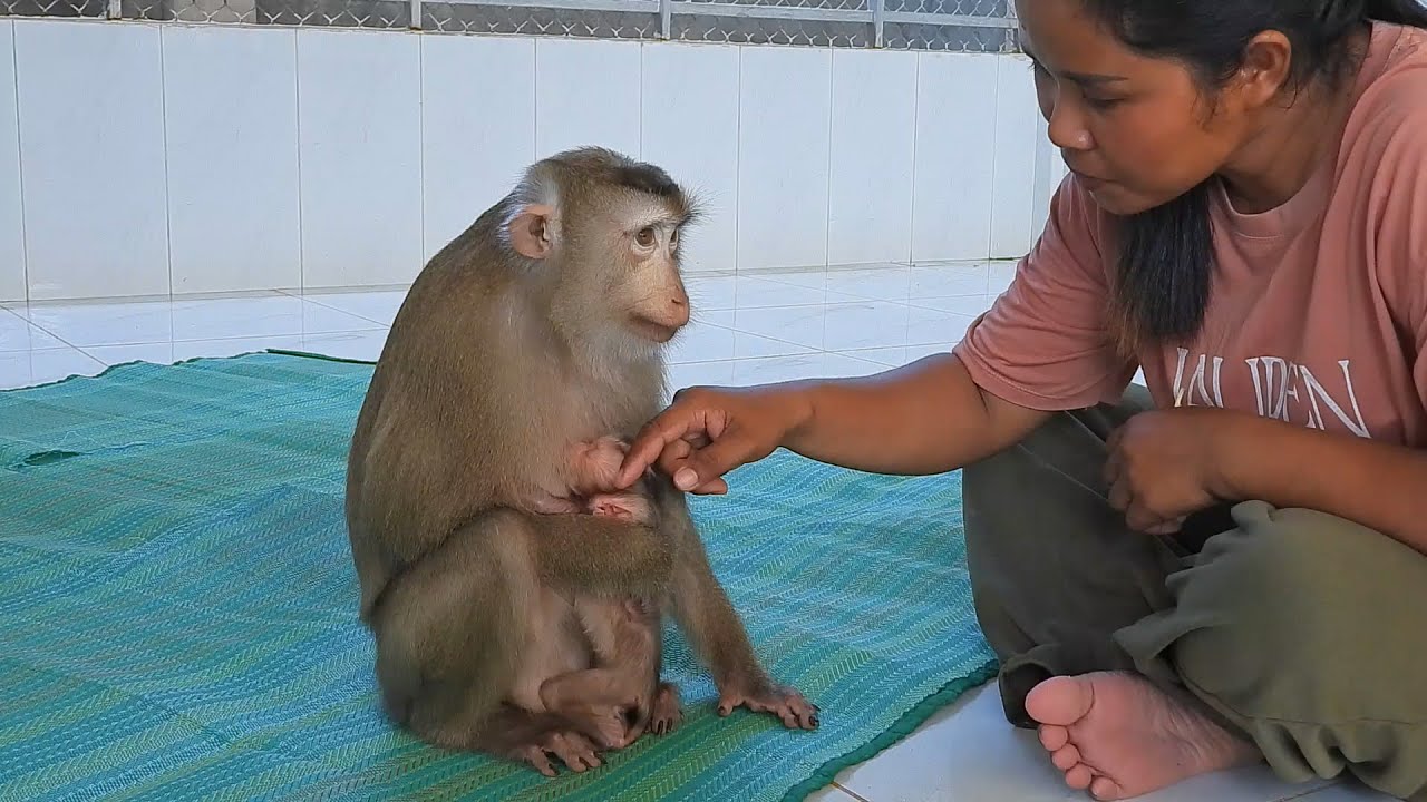 Grandma Requesting Luna To Touch Newborn Baby