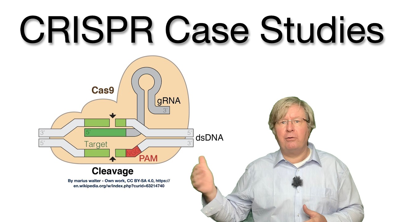 CRISPR Case Studies: Ethical Dilemmas and Revolutionary Applications