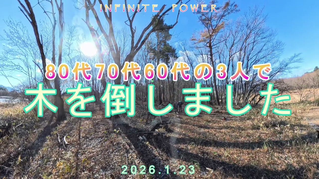 80代70代60代の3人で木を倒しました