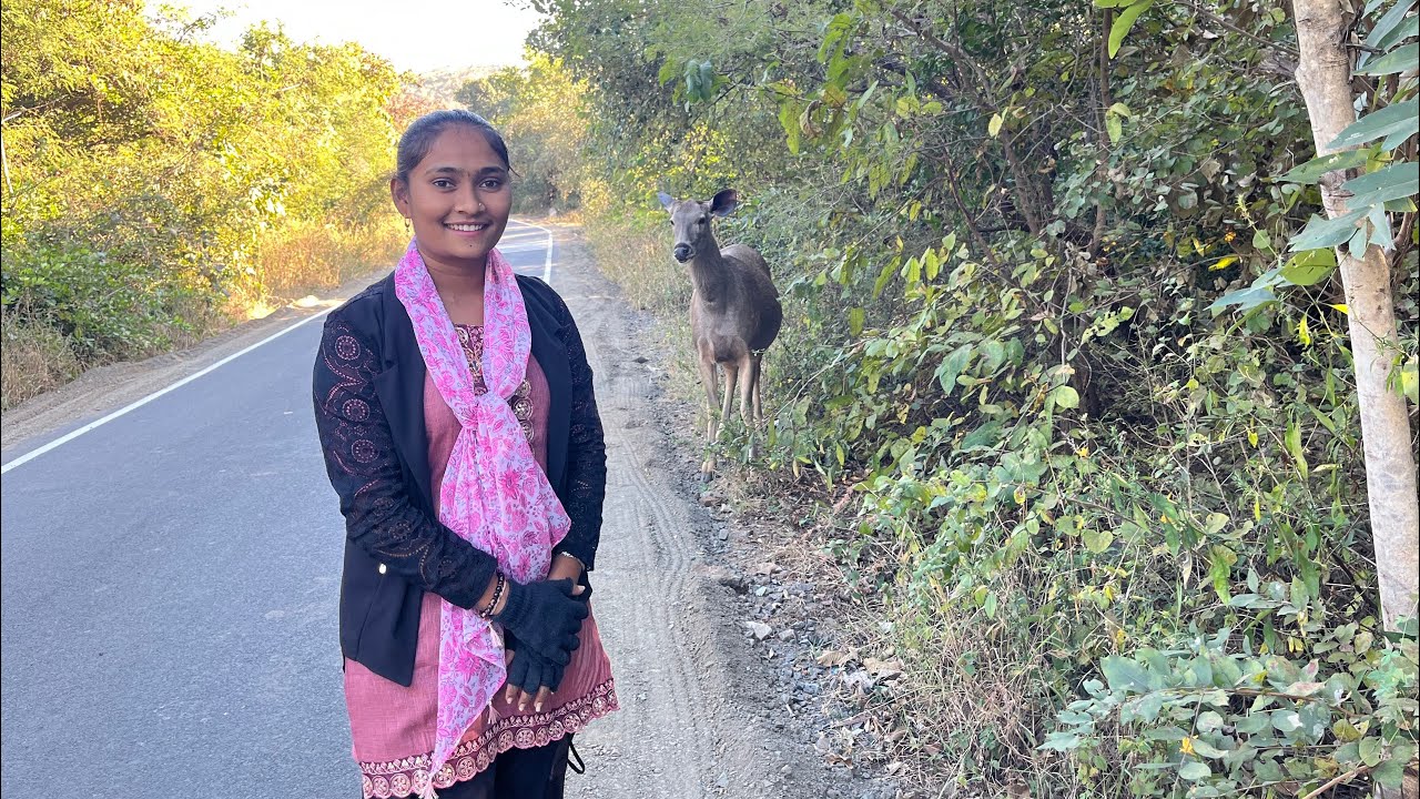 તુલસીશ્યામ