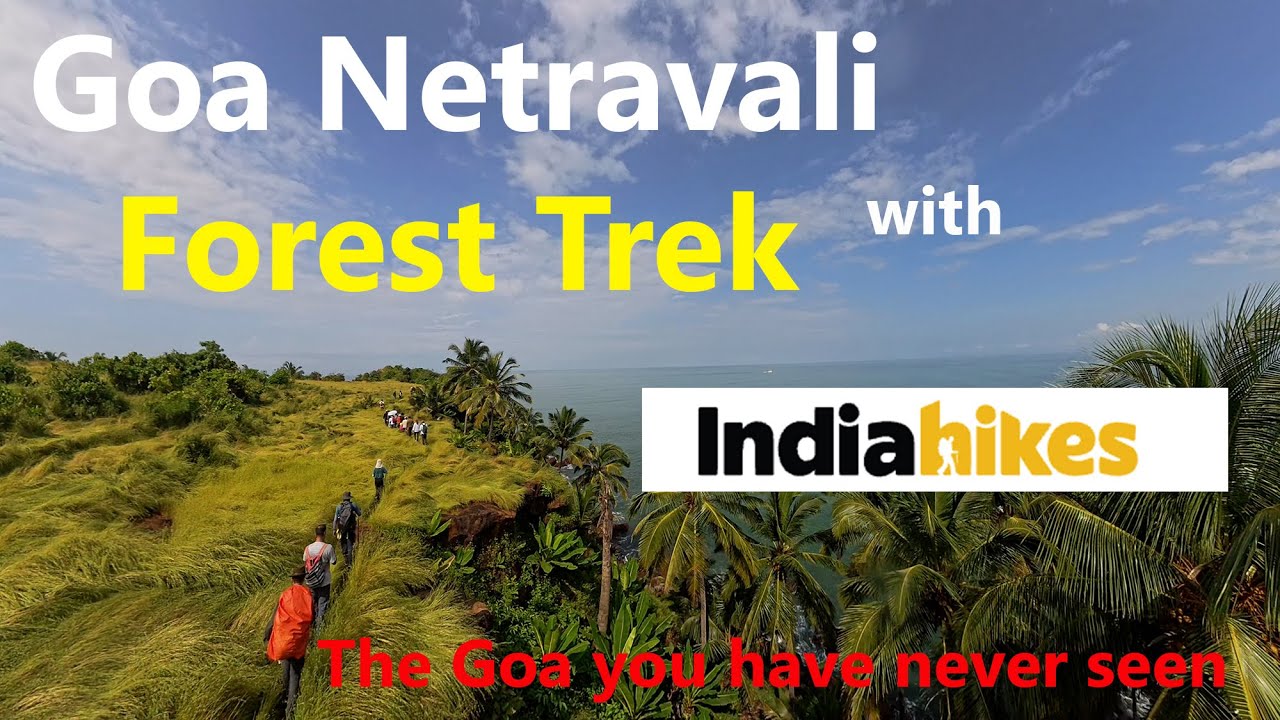 Goa Netravali Forest Trek with IndiaHikes :: An Unforgettable Experience