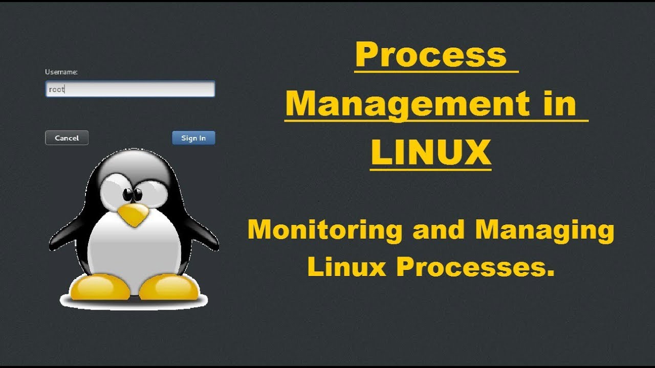 Process Management in LINUX | Monitoring and Controlling Processes | Explained with Examples.