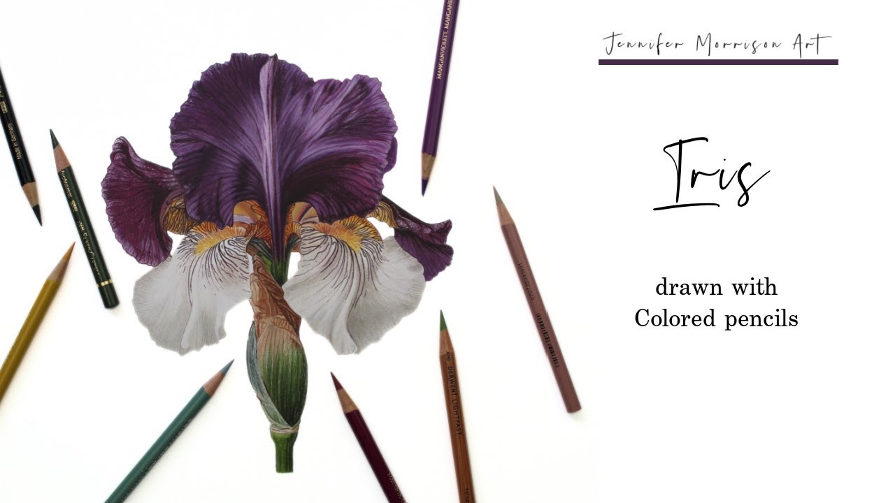 Drawing a Realistic Iris Why Practice Makes Perfect