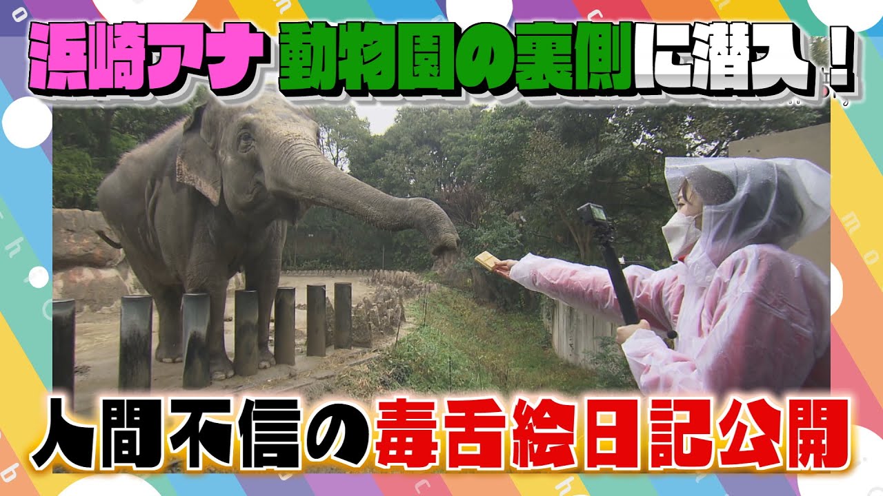 【動物園】犬以外はNG！？女子アナが1日飼育員デビュー「ももち○○部」（2021年12月23日OA）