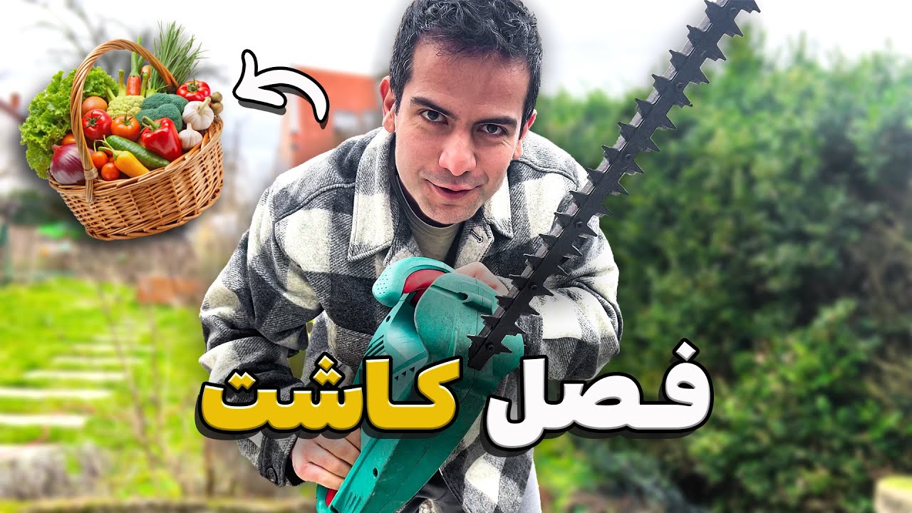 چه میوه های عجیبی میشه تو هوای آلمان کاشت؟
