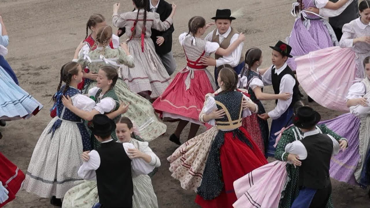 A XI. Vajdasági Vágta - Az esemény összefoglalója